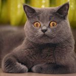 ������������� ������