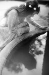 ������� Small_cynical_angel