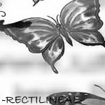 ������� -RECTILINEAL-