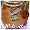 ������� webnata