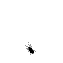 ������� stivca