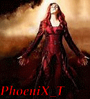 ������� Phoenix_T