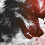 ������� BB_Wolf