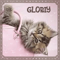 ������� _GLORIY_