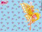 ������� WiNx-
