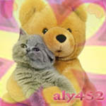  aly452