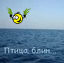 ������������� ������