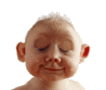 ������� ibnbr
