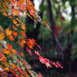 ������������� ������
