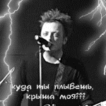 ������� ����_���������