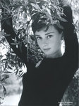 ������� Hepburn