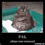 ������� �_�_�_�_�_�_�_�