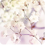 ������� Evi_Jenn