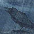 ������� crow_from_tower