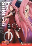  _sakura_haruno