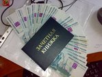 ������� phlex101