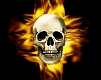 ������� Black_Lich