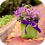 ������� Inusya71