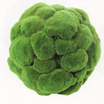 ������� Green_Moss