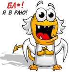 ������������� ������