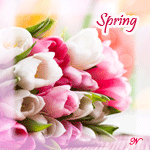 ������� ����44