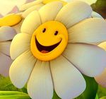 ������� Lidonka