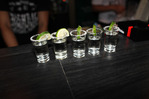 ������� Martini_mint