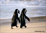 ������� Dein_Schatz