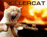 ������� _killercat_