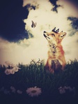  Fox_in_Love