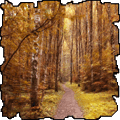 ������� Libelula_A