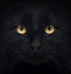 ������������� ������