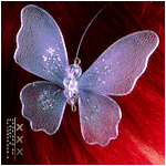 ������� ������2011