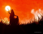 ������� Denis_co