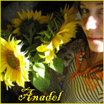  Anadel
