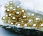 GOLD_Pearls