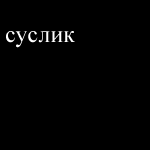 ������������� ������