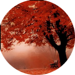 ������� -Sherwood_Forest-