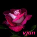 ������� vjun