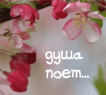 ������������� ������