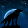 ������������� ������