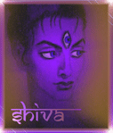 Профиль Shiva