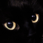 ������� blackbaks