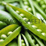  GMO_and_SAFETY