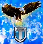 ������� D-SS