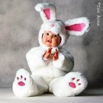 ������� alfik-katy