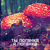 ������� emi-link