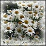 ������� romashka_the_only