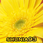  shunia93