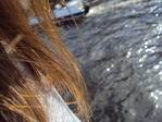 ������� NobodyCanLove